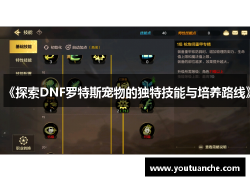 《探索DNF罗特斯宠物的独特技能与培养路线》